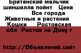 Британский мальчик шиншилла-пойнт › Цена ­ 5 000 - Все города Животные и растения » Кошки   . Ростовская обл.,Ростов-на-Дону г.